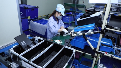 Cushman &amp; Wakefield: Việt Nam nhanh chóng khẳng định vị thế là trung tâm tăng trưởng chính