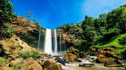 Gia Lai, a land imbued with the Central Highlands, majestic before the great forest