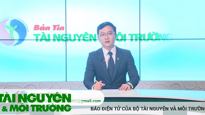 Bản tin Truyền hình Tài nguyên và Môi trường số 21/2023 (số 303)