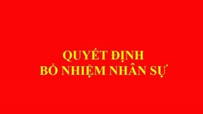 តែងតាំង និង​តែងតាំង​មុខ​តំណែង​ថ្នាក់​ដឹកនាំ​ស្ថាប័ន​ចំនួន ៣