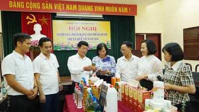 Thị xã Quế Võ (Bắc Ninh): Đánh giá, phân hạng sản phẩm OCOP năm 2024