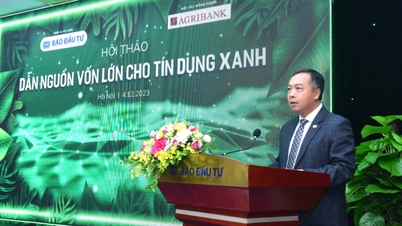 Huy động nguồn lực tài chính lớn cho quá trình chuyển đổi tín dụng xanh
