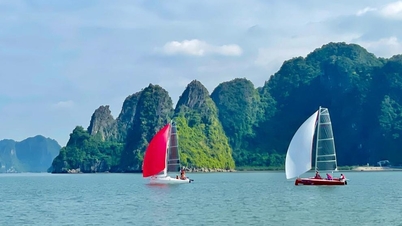 Lần đầu tổ chức Lễ hội thuyền buồm, dù bay, moto nước tại Quảng Ninh