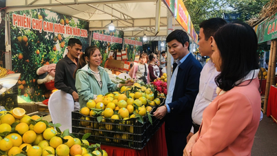 ផ្សារទឹកក្រូច Hung Yen ដ៏អ៊ូអរ 2024