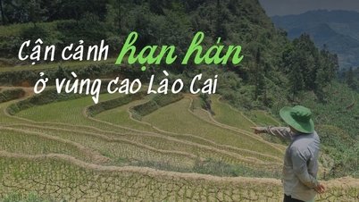 Cận cảnh hạn hán ở vùng cao Lào Cai
