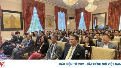 Doanh nghiệp Việt Nam quan tâm tìm hiểu đầu tư vào thị trường Mỹ