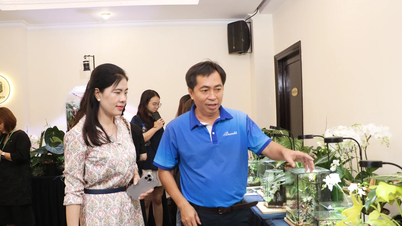 พิธีเปิดนิทรรศการศิลปะกล้วยไม้ประจำปี 2024 ณ เมืองโฮจิมินห์