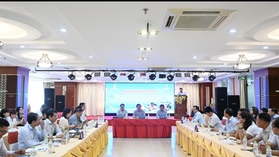 សិក្ខាសាលាស្តីពីប្រព័ន្ធអេកូឡូស៊ីនៃការប្រើប្រាស់ FTAs ​​រួមទាំង EVFTA ក្នុងវិស័យកសិកម្ម
