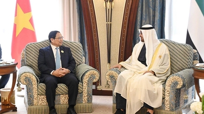 Quan hệ Việt Nam-UAE: Chờ đợi “cú hích” mới