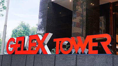 GELEX exceeded 30% of its annual profit plan after 10 months