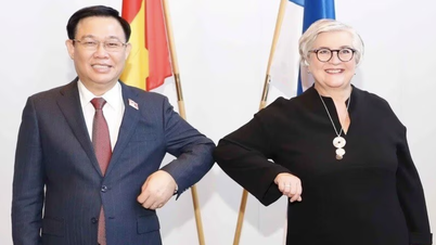 Vietnams besondere Stellung in der finnischen Außenpolitik