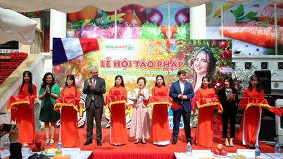 RỘN RÀNG MUA SẮM TẠI “LỄ HỘI TÁO PHÁP 2023”