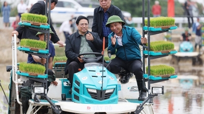 Thủ tướng thăm mô hình nông nghiệp, động viên nông dân Hải Dương