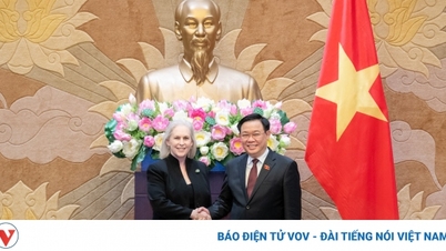 ប្រធានរដ្ឋសភា Vuong Dinh Hue ទទួលជួបសមាជិកព្រឹទ្ធសភាអាមេរិក Kirsten Gillibrand