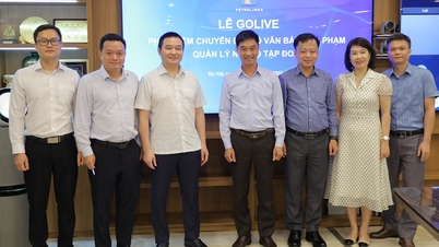 Petrolimex Golive phần mềm Chuyển đổi số Văn bản quy phạm quản lý nội bộ