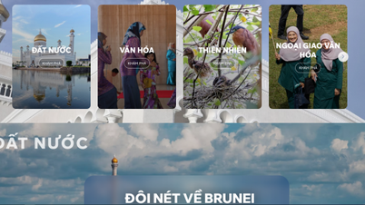 Lanzamiento de un sitio web que presenta Brunei y su gente al pueblo vietnamita