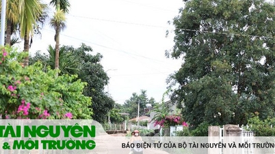 Tạm giữ hình sự 74 đối tượng, ổn định an ninh trật tự trên địa bàn