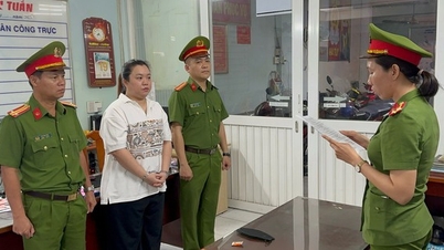 Công an TP.HCM bắt người phụ nữ lừa đảo thủ tục du học