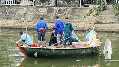 Da Nang hat ein Freiwilligenteam aus internationalen Studenten in Vietnam.