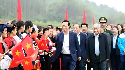 President launches tree planting festival “Forever grateful to Uncle Ho” in Tuyen Quang