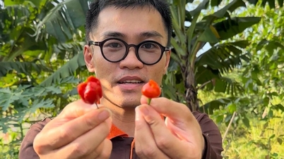 Master លា​ឈប់​ពី​ការងារ​មួយ​ពាន់​ដុល្លារ​ត្រឡប់​មក​ស្រុក​កំណើត​វិញ​ដើម្បី​ចាប់​ផ្តើម​ជំនួញ​ជាមួយ​ "ដង្ហើម​នាគ"