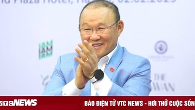 Ông Park Hang Seo làm HLV tạm quyền tuyển Việt Nam, tại sao không?