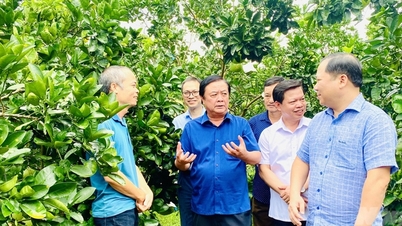 បំបាត់ការលំបាក សម្រេចគោលដៅកសាងជនបទថ្មីនៅឆ្នាំ២០២៤