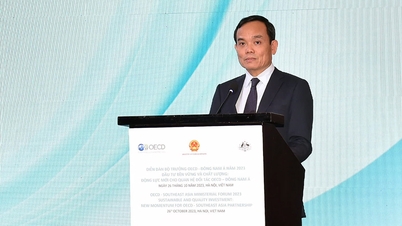 Phó Thủ tướng Trần Lưu Quang nêu 5 định hướng thúc đẩy hợp tác đầu tư OECD-Đông Nam Á