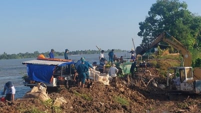 ពង្រឹងផ្នែកទំនប់ទឹកនៃទន្លេ Co Chien ដើម្បីការពារប្រជាជនកោះ Thanh Long