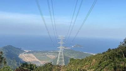 Chính phủ thực hiện linh hoạt các chính sách tài khóa, tiền tệ