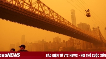 ហេតុអ្វីបានជាមេឃ New York មានពណ៌ទឹកក្រូចដូចភពអង្គារ?