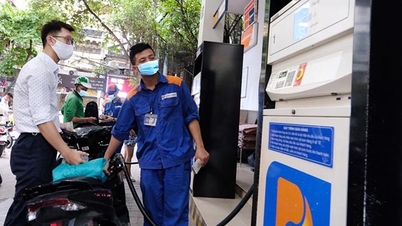Petrolimex điều chỉnh giá xăng dầu từ 15 giờ 00 phút ngày 24/10/2024