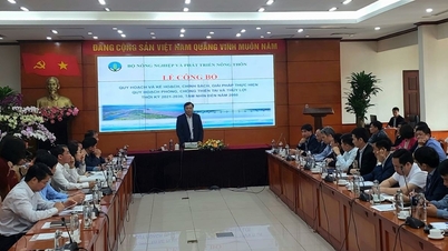 Quy hoạch thủy lợi góp phần quan trọng vào phát triển bền vững của Việt Nam