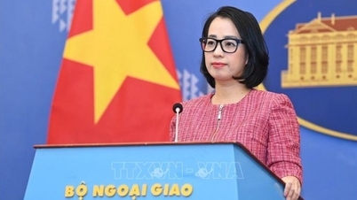 ក្រសួងការបរទេស​និយាយ​អំពី​ការ​អត្ថាធិប្បាយ​ញុះញង់​បំបែក​ទំនាក់ទំនង​វៀតណាម​-​កម្ពុជា​