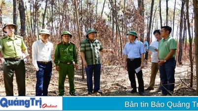 អនុប្រធានអចិន្ត្រៃយ៍នៃគណៈកម្មាធិការប្រជាជនខេត្ត Ha Sy Dong បានចុះត្រួតពិនិត្យការងារបង្ការ និងពន្លត់ភ្លើងឆេះព្រៃនៅស្រុក Vinh Linh។