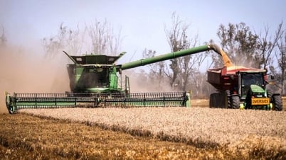 Trung Quốc và Úc khép lại 'cuộc chiến lúa mạch' sau 3 năm