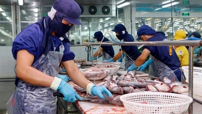 Xuất khẩu thủy sản dự báo cán đích 9 tỷ USD