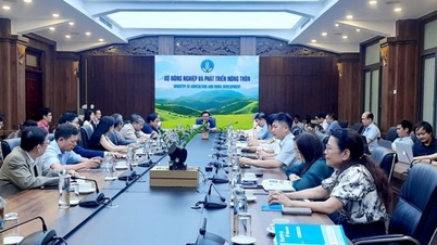 Quy định chống phá rừng của EU có tạo thêm rào cản cho ngành cà phê?