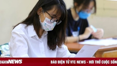'Không có kiến thức, muốn viết dài cũng khó'
