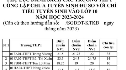 កូតាចុះឈ្មោះបន្ថែមសម្រាប់ថ្នាក់ទី ១០ នៃវិទ្យាល័យសាធារណៈចំនួន ១០៨ នៅទីក្រុងហូជីមិញ
