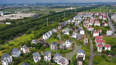 Gia hạn thời gian nộp thuế, tiền thuê đất năm 2024