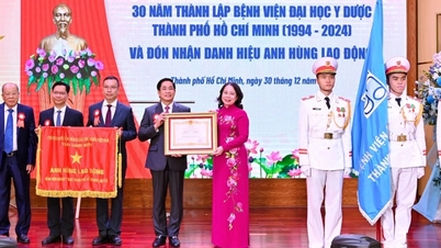 Hospital in Ho Chi Minh City receives noble title conferred by President