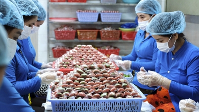 Nhộn nhịp làng nghề thủ công ngày giáp Tết