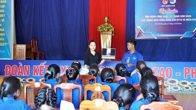 Incorporating 5 basic digital skills into the curriculum for Quang Nam students