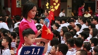 Hiệu trưởng ở TPHCM tiết lộ lương giáo viên cao nhất 60 triệu đồng