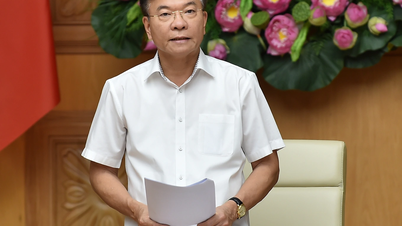 Vietnam ranks 54/166 countries in SDGs index
