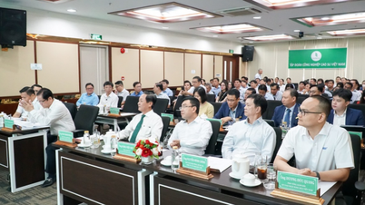 លើកកំពស់ទីតាំងឧស្សាហកម្មកៅស៊ូរបស់វៀតណាមតាមរយៈជាន់ពាណិជ្ជកម្ម