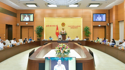 Thành lập thành phố Đông Triều trực thuộc tỉnh Quảng Ninh