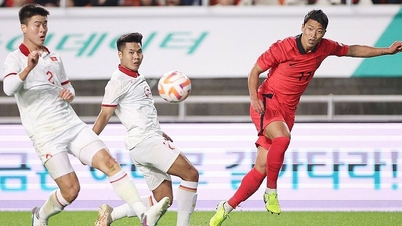 Việt Nam tăng bậc trên bảng FIFA