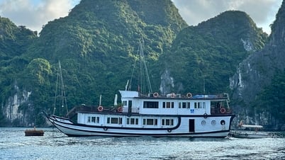 Vì sao chuyển đổi tàu vỏ gỗ trên vịnh Hạ Long sang tàu thép gặp khó?